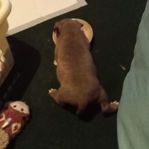 Meet your Posher, Maria